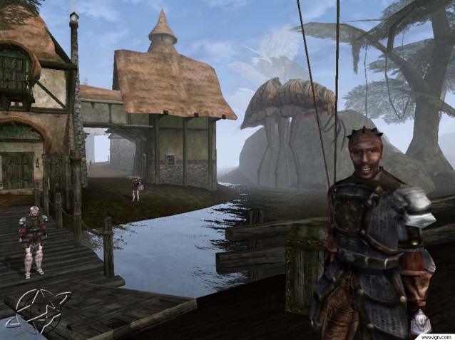 A la découverte de Bethesda Softworks - Partie I 18 morrowind 6661