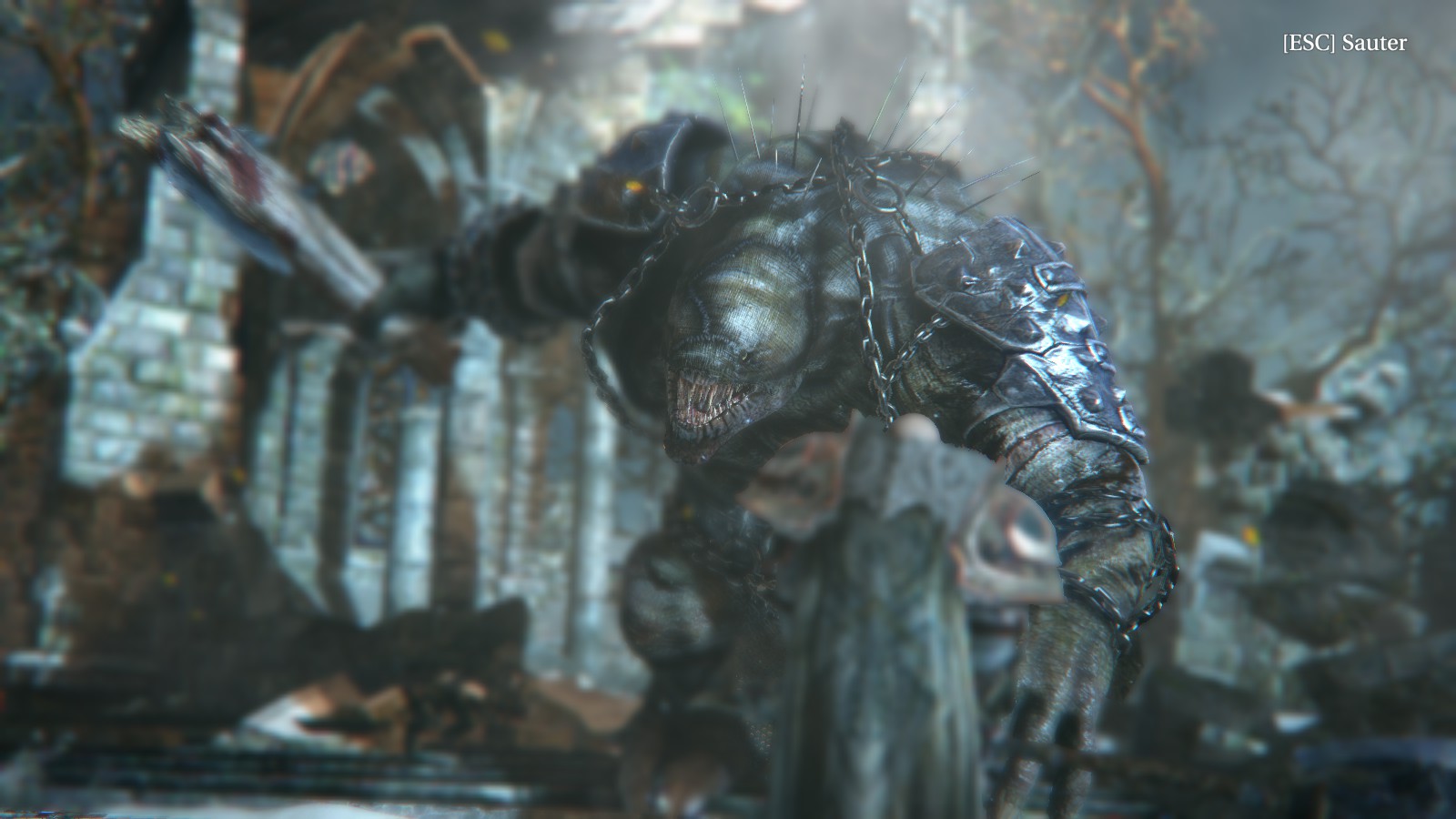 Lords of the Fallen 10 Lords of the Fallen 010