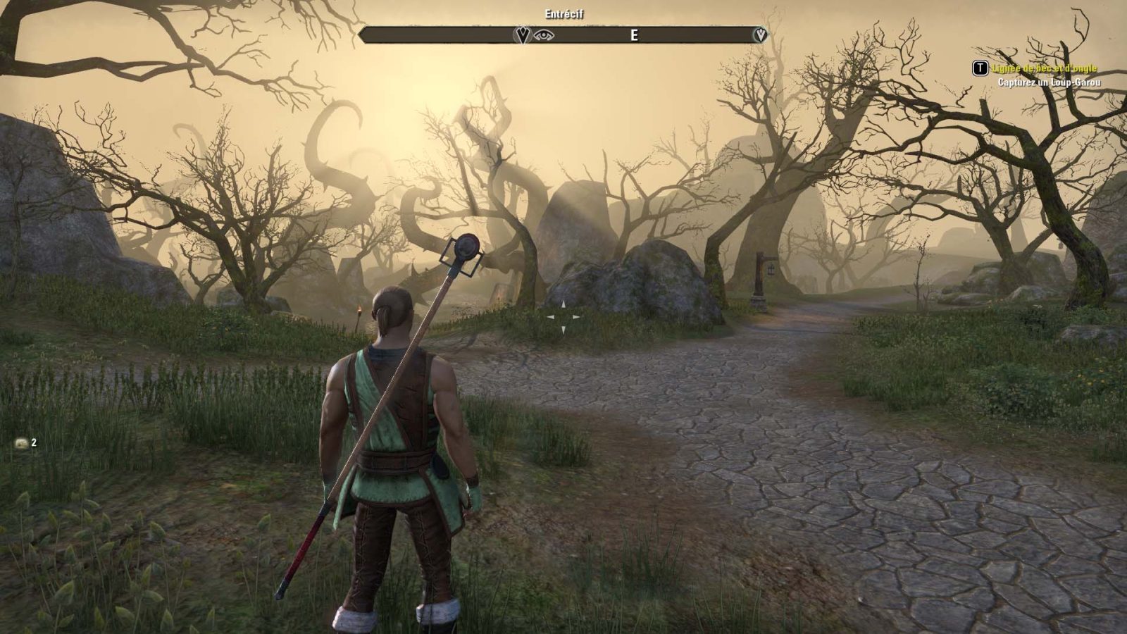 The Elder Scrolls Online 4 TESO004