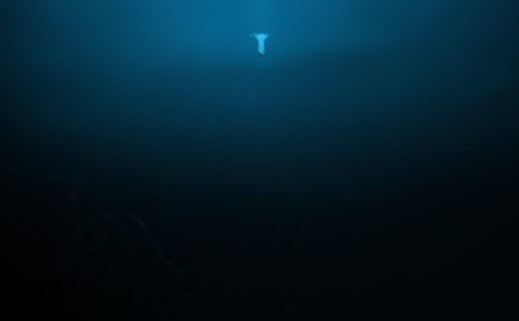 Abyss-affiche[1]