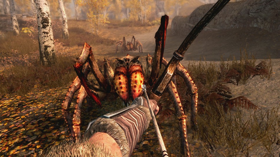 SONDAGE : Votre RPG, avec quelle vue ? 1 Skyrim1vue