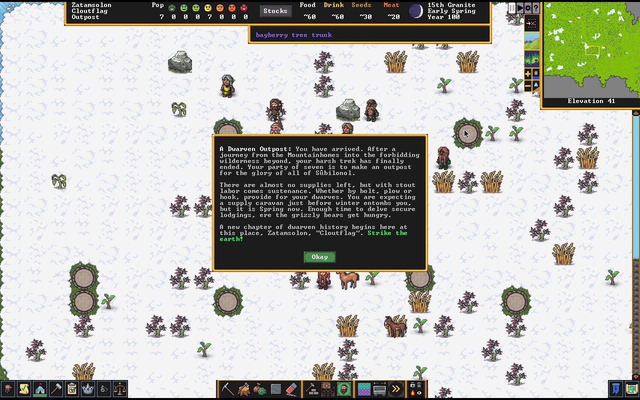 Dwarf Fortress - Gros plan 1 1df | RPG Jeuxvidéo