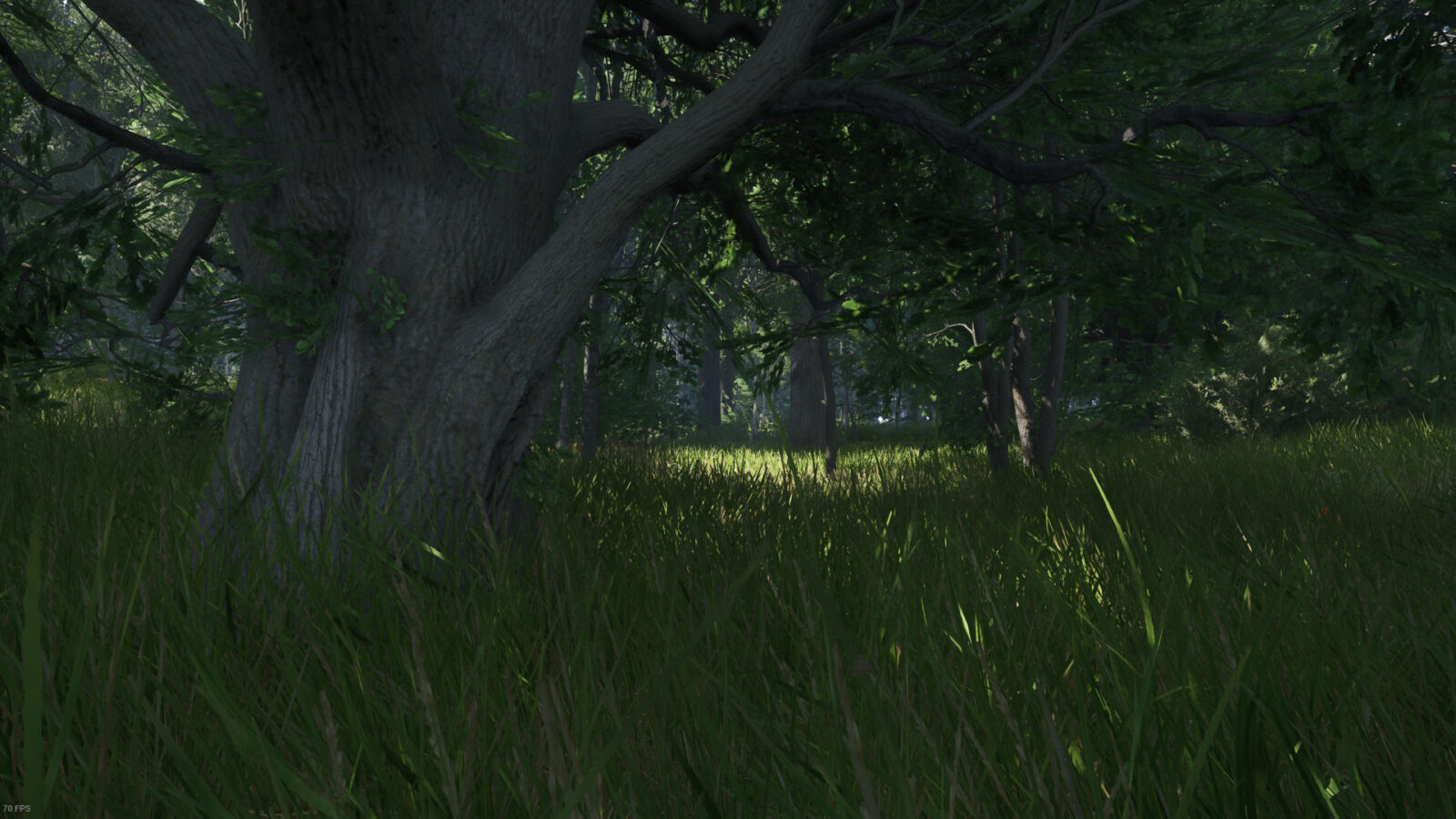 Kingdom Come : Deliverance II 6 kingdom come II 007