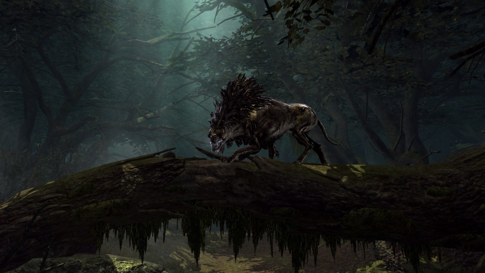 Le Seigneur des Anneaux : La Guerre du Nord – Édition Legacy, une réédition pour le (re)découvrir 13 WAR IN THE NORTH PERSONNAGES 3 | RPG Jeuxvidéo